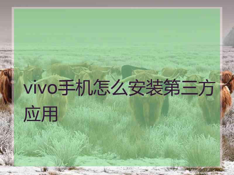 vivo手机怎么安装第三方应用