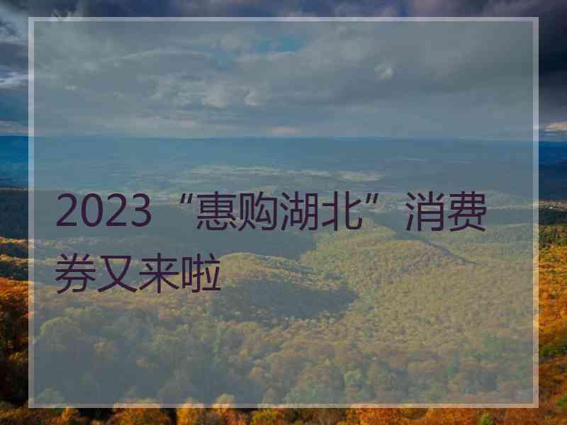 2023“惠购湖北”消费券又来啦