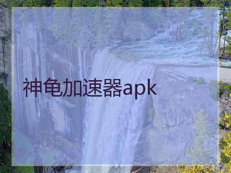 神龟加速器apk