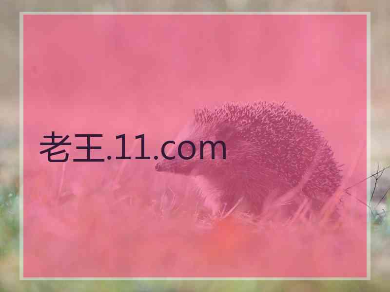 老王.11.com